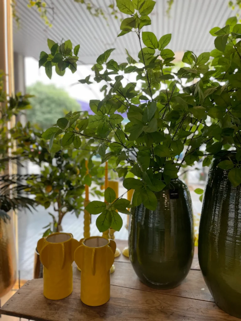 Palma Christmas decor_decoración navidad